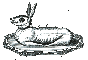 This is a rabbit, or maybe a hare